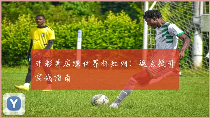 开彩票店赚世界杯红利：返点提升实战指南
