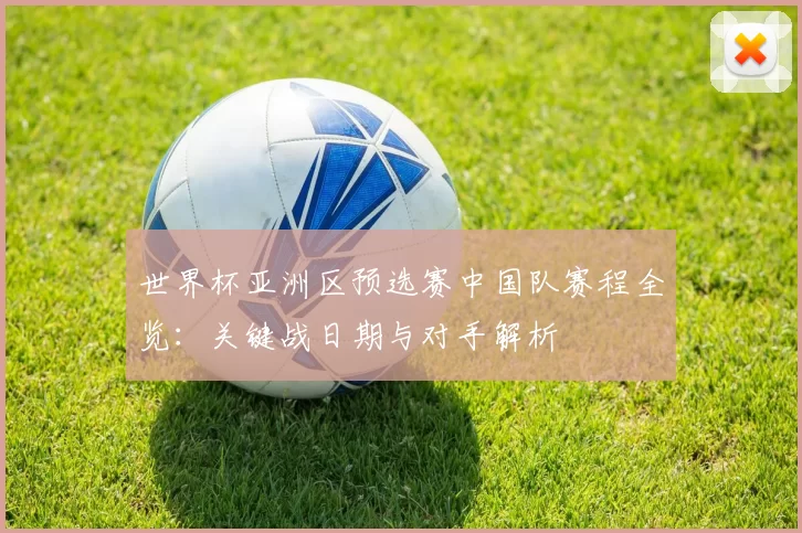 世界杯亚洲区预选赛中国队赛程全览:关键战日期与对手解析