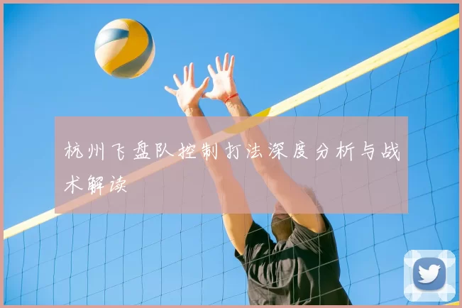 杭州飞盘队控制打法深度分析与战术解读
