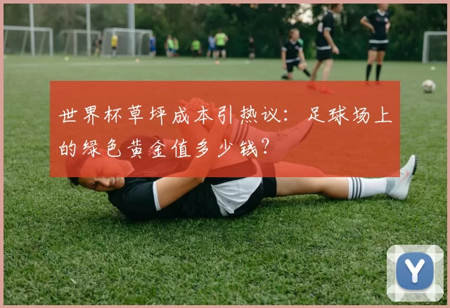世界杯草坪成本引热议:足球场上的绿色黄金值多少钱?