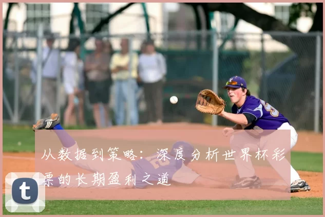 从数据到策略：深度分析世界杯彩票的长期盈利之道
