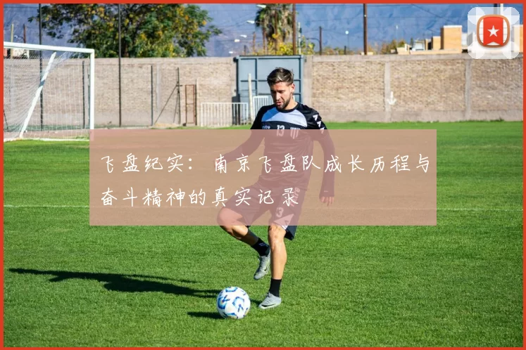 飞盘纪实：南京飞盘队成长历程与奋斗精神的真实记录
