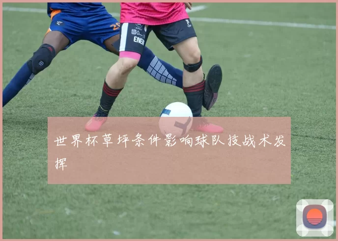 世界杯草坪条件影响球队技战术发挥