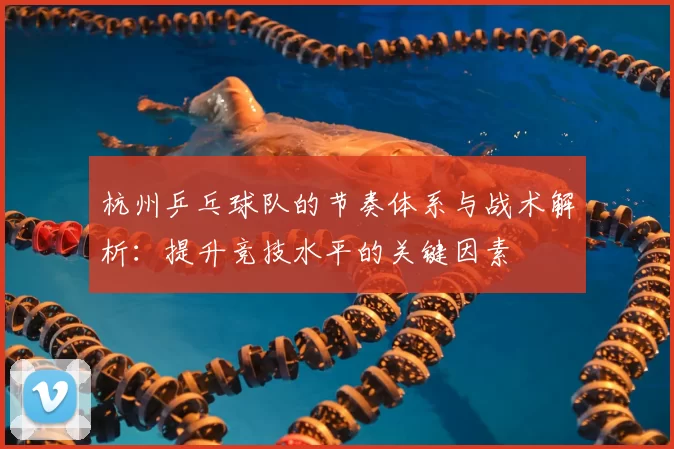 杭州乒乓球队的节奏体系与战术解析：提升竞技水平的关键因素
