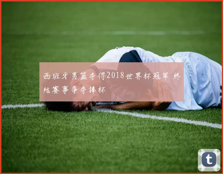西班牙男篮夺得2018世界杯冠军 终结赛事争夺捧杯